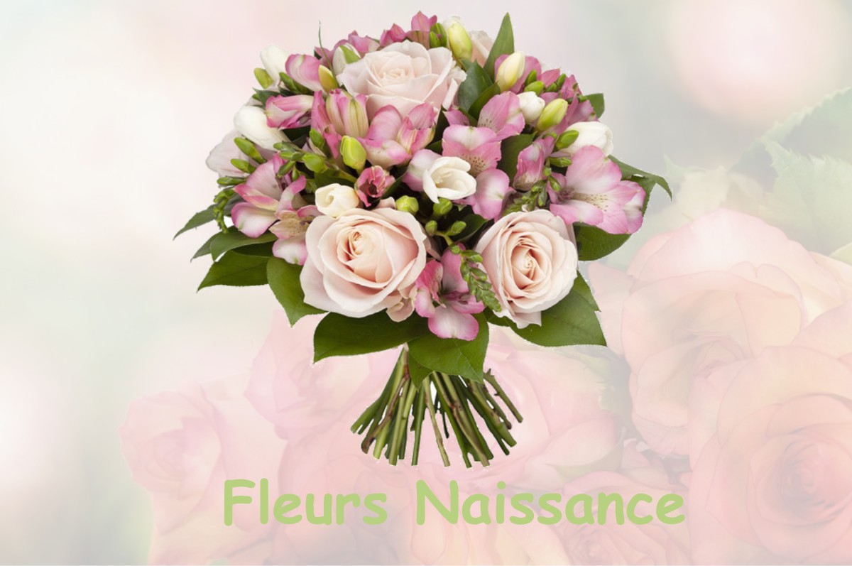 fleurs naissance CHAMAGNIEU