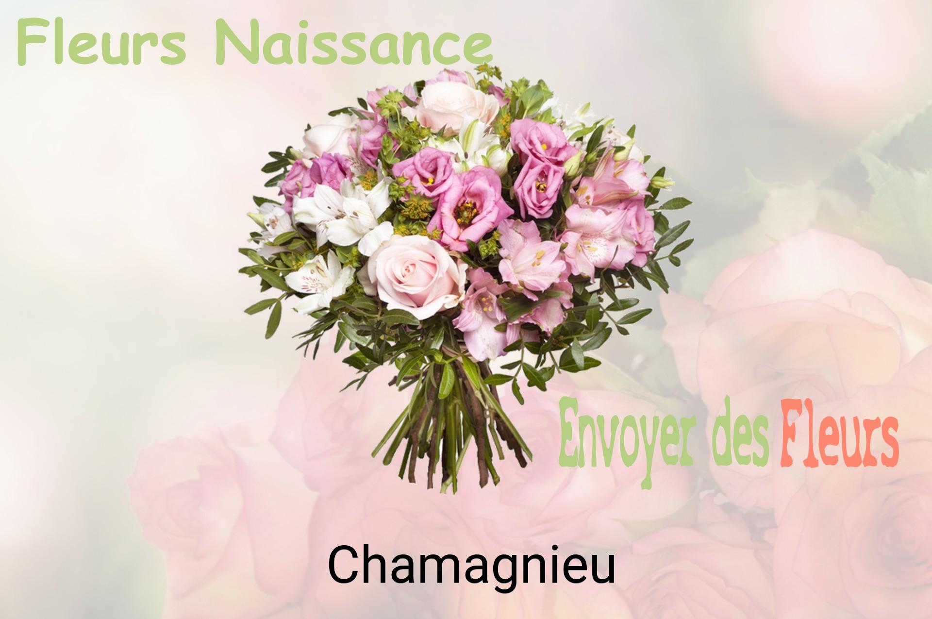 Bouquet de fleurs de naissance livré à Chamagnieu