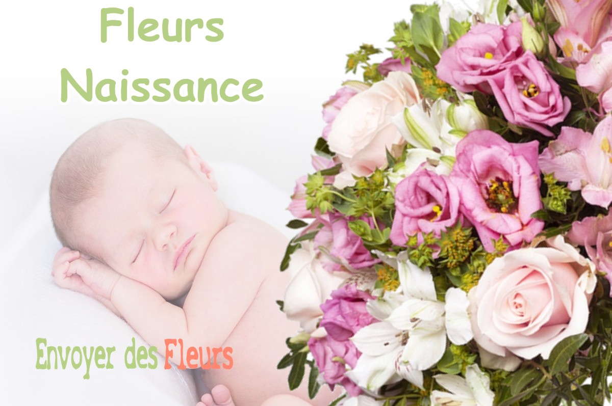 lIVRAISON FLEURS NAISSANCE à CHAMAGNIEU